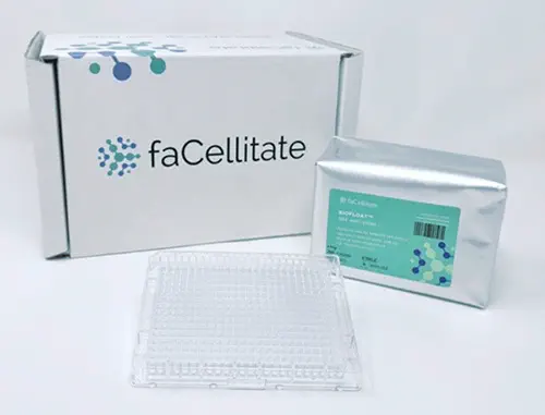 Biofloat™ 384-well plate, flat bottom, transparent, sterile