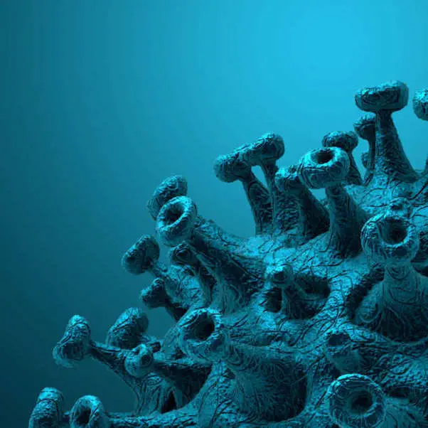 Kit FastGene RNA virus