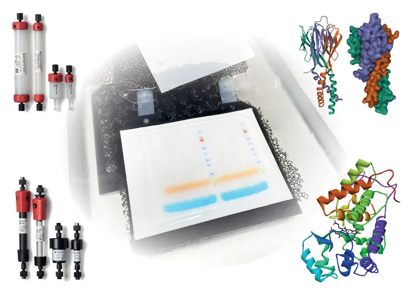 PHOSPHATASE INHIBITOR SOLUTION MIX II