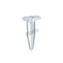 Eppendorf DNA LoBind 0.5 ml Tube