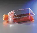 Corning® cell culture flasks - Corning® cell culture - Cell 