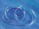 Corning&reg; treated cell culture dish with Ultra-Low attachment surface, 60 mm diameter