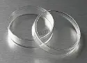 Corning&reg; treated cell culture dish with CellBIND surface, 60 mm diameter