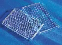 Corning&reg; 96-well transparent flat-bottom cell culture plate - CellBIND treated surface&reg; - Bulk sterile