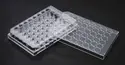 Celltreat 48-Well Non-Treated Plates - Sterile Flat Bottom With Lids (Case Of 100)
