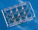 Corning&reg; 12-well cell culture plate with CellBIND surface