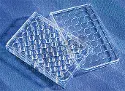 Corning&reg; 48-well cell culture plate with CellBIND surface