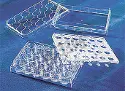 HTS Transwell&reg;-24 plate with PC membrane (0.4 µm pore) - individually packed