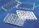 HTS Transwell&reg;-24 plate with PC membrane (0.4 µm pore) - bulk