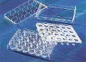 HTS Transwell&reg;-24 plate with PC membrane (3 µm pore) - individually packed