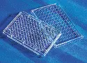 Corning&reg; 96-well transparent flat-bottom cell culture plate - TC treated surface