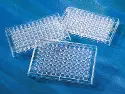 CORNING non-sterile 96-well round-bottom screening microplate - treated to improve hydrophobicity for haemaglutination and agglutination tests