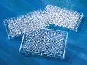 CORNING non-sterile 96-well conical bottom screening microplate - treated to improve hydrophobicity for haemaglutination and agglutination tests