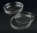 Sterile round Petri dish - Ø x H: 60 x 14,2 mm - without vent - pack of 10