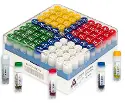 Cryotube cap in assorted colours 1D with beads and cryoprotective liquid