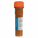 Mix qPCR Hot FIREpol&reg; EvaGreen&reg; supermix 5X, 5 x 1 ml, 1250 réactions