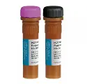 Mix qPCR Hot FIREpol&reg; EvaGreen&reg; HRM 5X, sans ROX, 5 x 1 ml, 1250 réactions