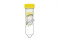 VIVASPIN TURBO 15 30 000 MWCO RC MEMBRANE X12