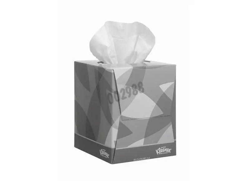 Boîte cubique Kleenex 210 x 200 mm - boîte de 90 mouchoirs - Matériel de  laboratoire