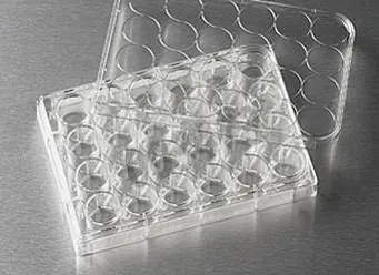 Placas celular Corning® pocillos, con superficie ultra-low attachment - Equipo de laboratorio
