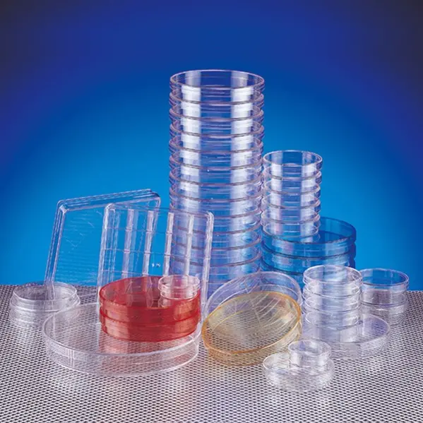 Boîtes De Pétri En Verre Sur Fond Rose. Plats De Laboratoire Stériles