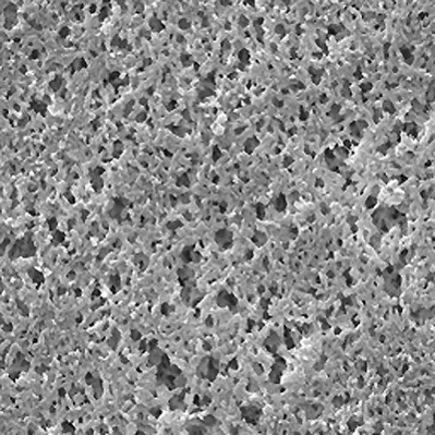 Filtre membrane en nylon 0,45 µm, diamètre 47 mm Merck Millipore - Matériel  de laboratoire