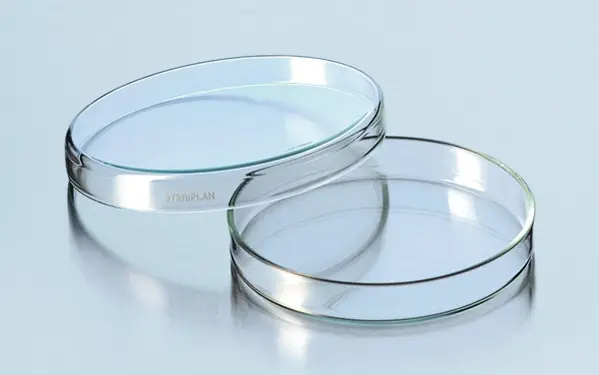 Lot De 10 Boîtes De Petri 90x15 Mm - Transparentes Pour Culture De Levure, Laboratoire