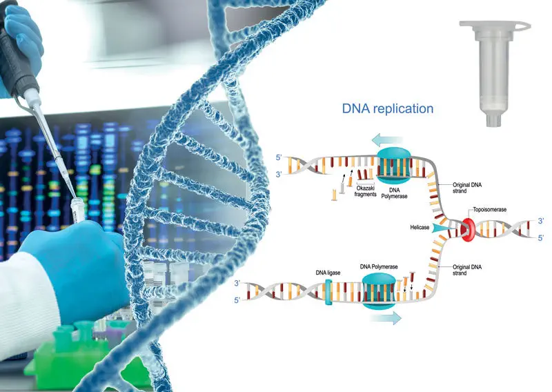 TAMPON D'EXTRACTION CTAB DNA, GRADE BIOLOGIE MOLECULAIRE, 500ml ...