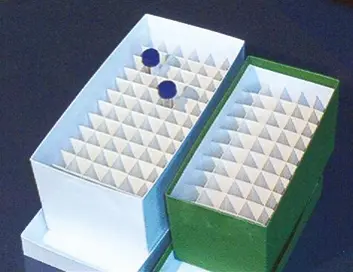 Plastic Mini Boxes (2 Vial)