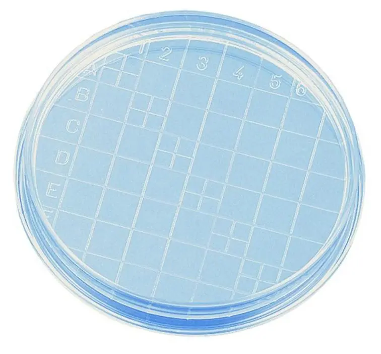 100 Piastre Petri Sterili In Plastica - Diametro 90mm X 15mm, Con Coperchio E Prese Aria, Per Laboratorio - Foto 8